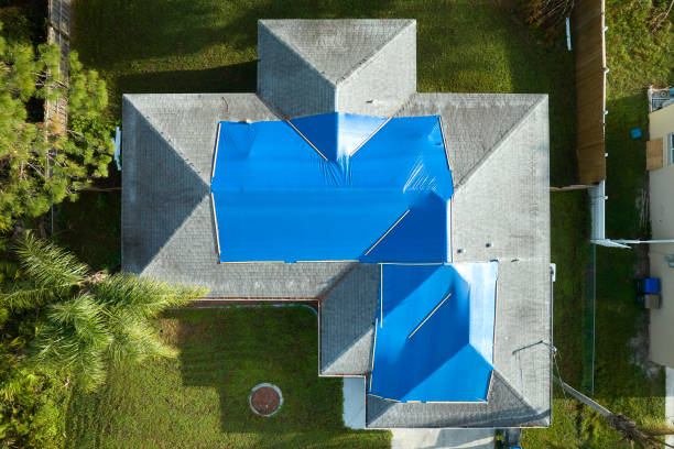 Best Roof Moss and Algae Removal  in Zephyrhills South, FL