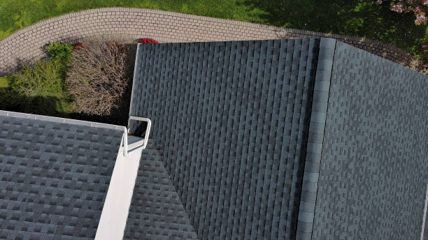 Best Gutter Installation and Repair  in Zephyrhills South, FL