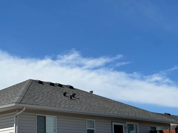 Best Tile Roofing Installation  in Zephyrhills South, FL